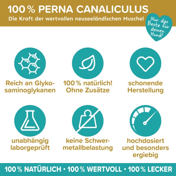 Grünlippmuschel Hund TESTSIEGER - 500g natürliches Grünlippmuschelpulver für Hunde - Unterstützung der Gelenkfunktion - Grünlippmuschel für Hunde mit Hoher Akzeptanz - Grünlippmuschelpulver Hund