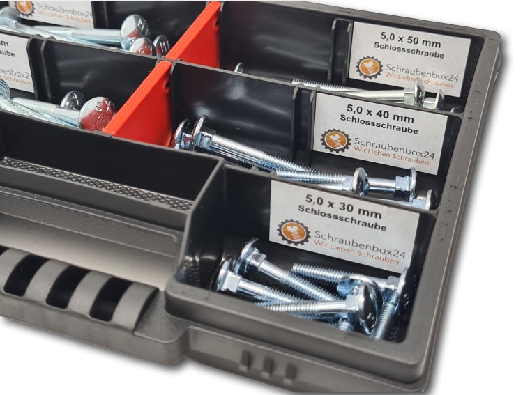 Flachkopfschrauben Sortiment M5-M6 // 30mm-50mm 60 tlg. Schraubenbox DIN 603 Bolzen Vollgewindeschrauben Maschinenschrauben Gewindeschrauben Flachkopfschrauben