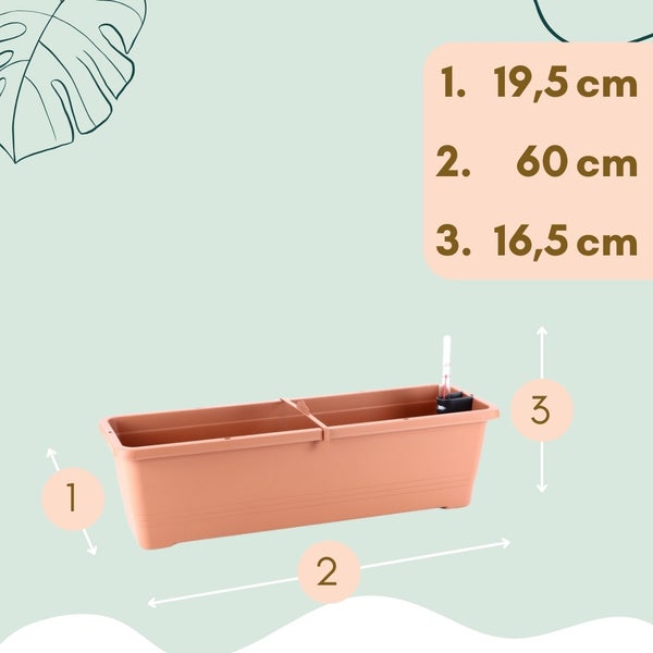 Rechteckiger Pflanzkasten mit den Massen 19,5 cm x 60 cm x 16,5 cm.