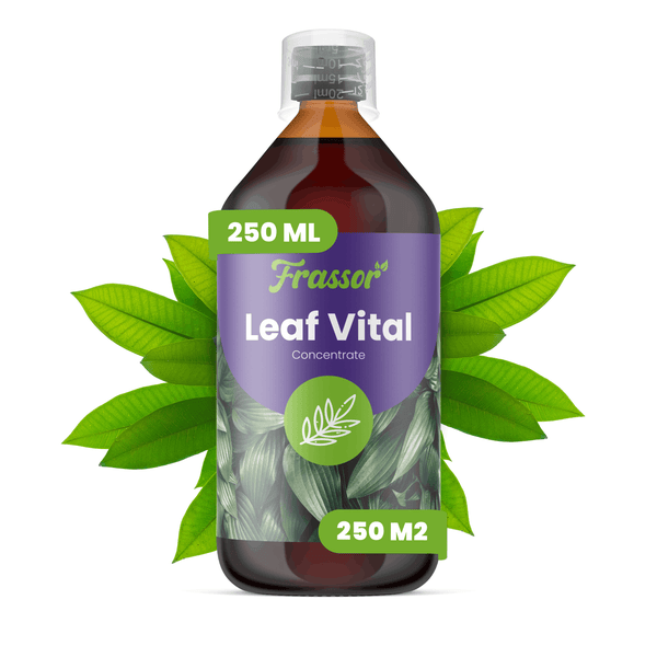 Frassor Leaf Vital Konzentrat, 250 Milliliter Flasche für 250 Quadratmeter, Pflanzenstärkungsmittel.