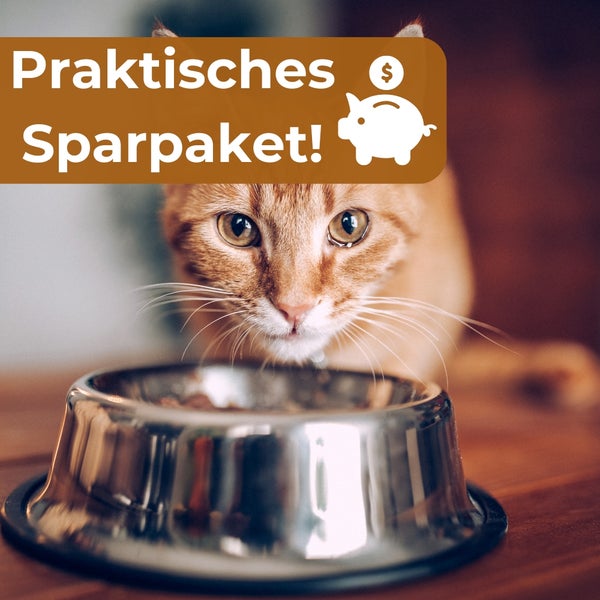 Katze vor Futternapf mit Hinweis auf Sparpaket
