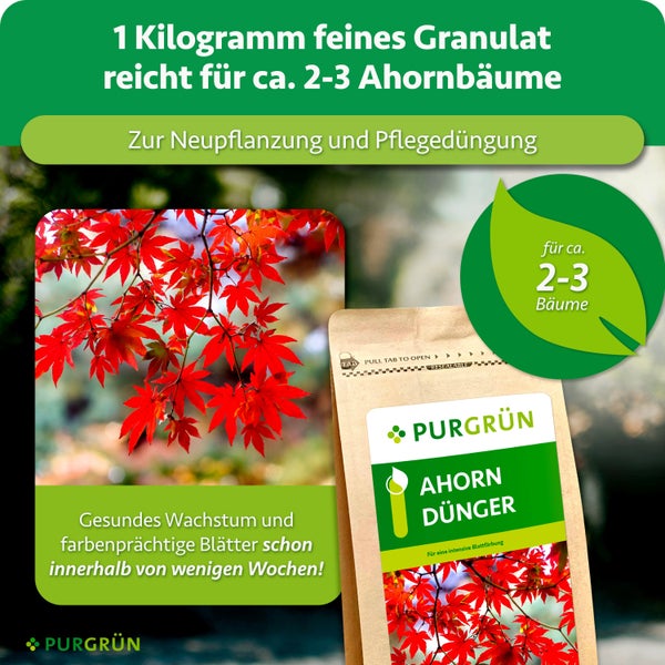Purgrün Ahorndünger Granulat für Neupflanzung und Pflegedüngung, ausreichend für zwei bis drei Ahornbäume, ein Kilogramm Packung.
