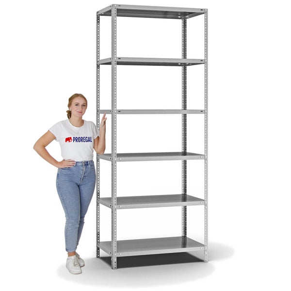 PROREGAL Fachbodenregal Schraubsystem Medium-Duty Grundregal HxBxT 250 x 100 x 50 cm 6 Ebenen Fachlast 200 kg Beidseitig Nutzbar Verzinkt