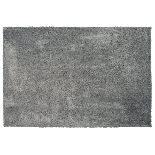 Zottelteppich EVREN Hellgrau 200 x 300 cm