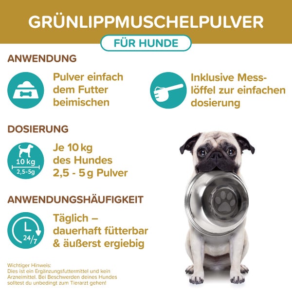 Grünlippmuschel Hund TESTSIEGER - 500g natürliches Grünlippmuschelpulver für Hunde - Unterstützung der Gelenkfunktion - Grünlippmuschel für Hunde mit Hoher Akzeptanz - Grünlippmuschelpulver Hund