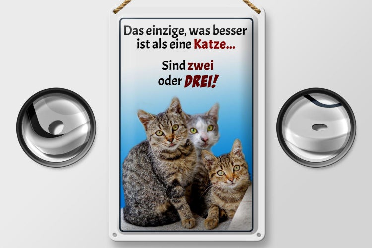 Blechschild Spruch 20x30cm einzige was besser ist als Katze