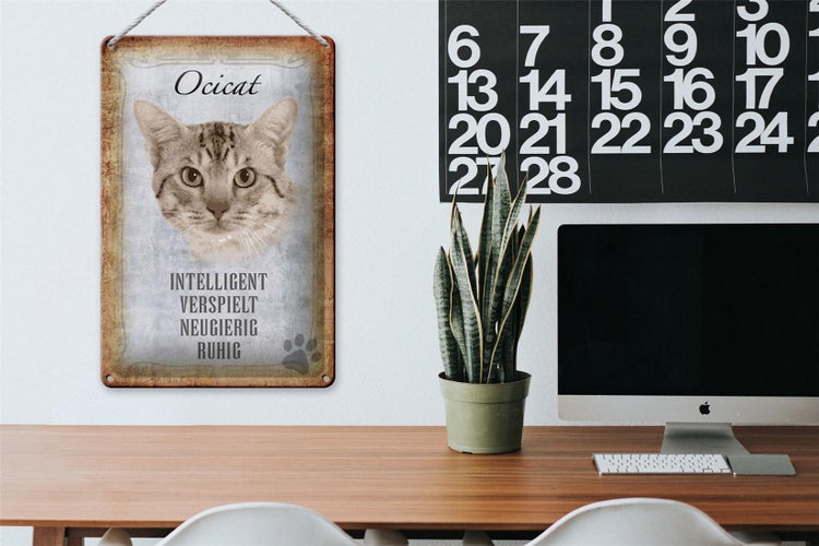 Blechschild Spruch 20x30cm Ocicat Katze verspielt Schild
