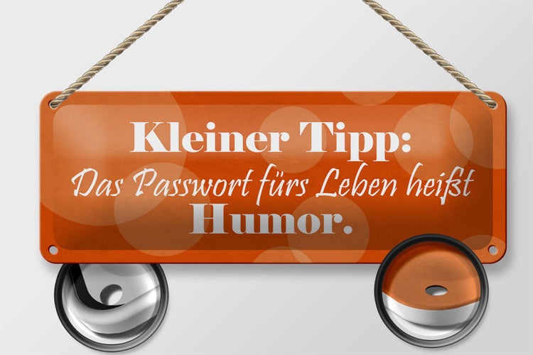 Blechschild Spruch 27x10cm Passwort für's Leben Humor Dekoration