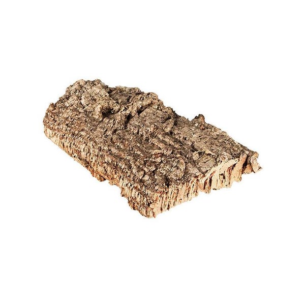 Stück Naturkork-Rinde mit strukturierter Oberfläche zur Dekoration von Terrarien.