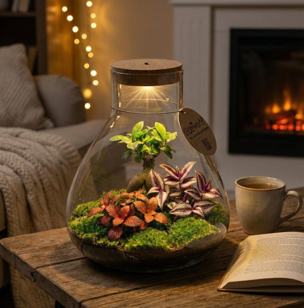 Glas-Terrarium mit LED-Beleuchtung im Korkdeckel, bepflanzt mit Zimmerpflanzen und Moos, in gemütlicher Atmosphäre auf einem Holztisch.