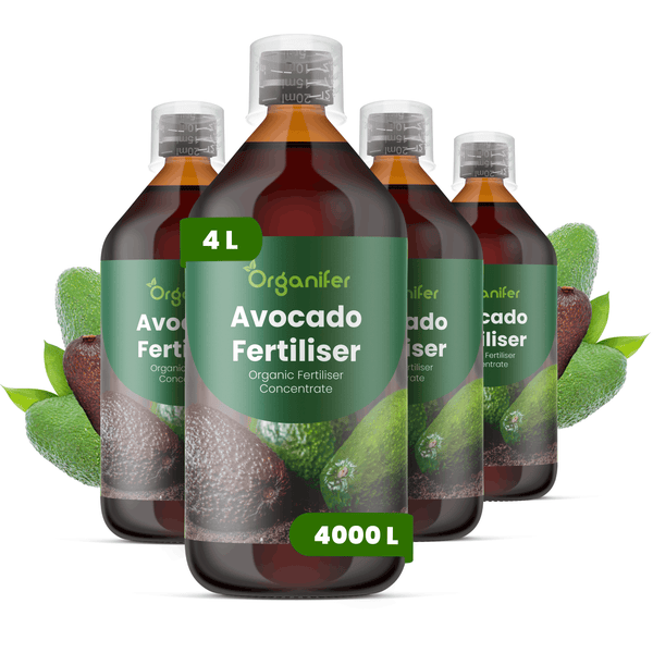 Vier Flaschen Organifer Avocado-Dünger, organisches Düngerkonzentrat, 4 Liter pro Flasche.