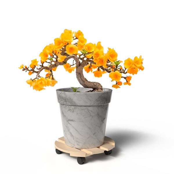 Künstlicher Bonsai mit gelben Blüten im Topf auf Pflanzenroller