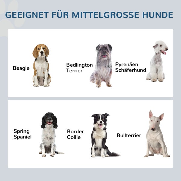PawHut Hundenapf mit Schublade, erhöhter Fressnapf, Doppel Hundenapf aus Edelstahl, Futternapf für mittelgroße Hunde, Hunde Fressnapf mit Staumraum, Katzenapf, Futterstation, Grau