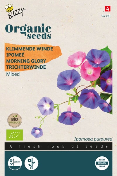 Bio-Saatgut für Kletternde Winde, auch bekannt als Morning Glory