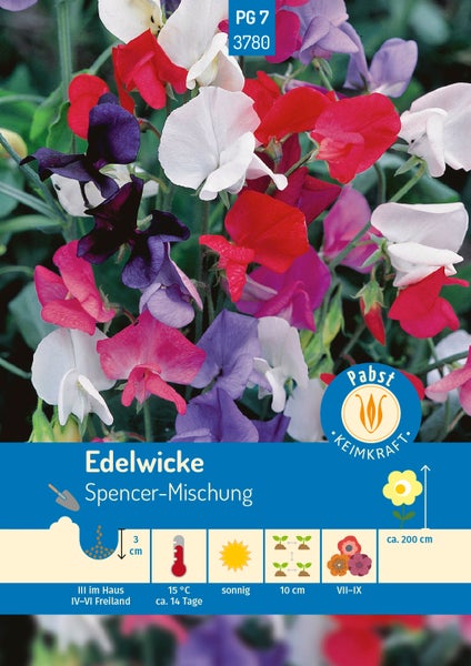 Edelwicke Spencer-Mischung Samen. Bunte Blüten, Aussaattiefe 3 cm, Wuchshöhe circa 200 cm, Blütezeit Juli bis September. Pabst Keimkraft Logo.