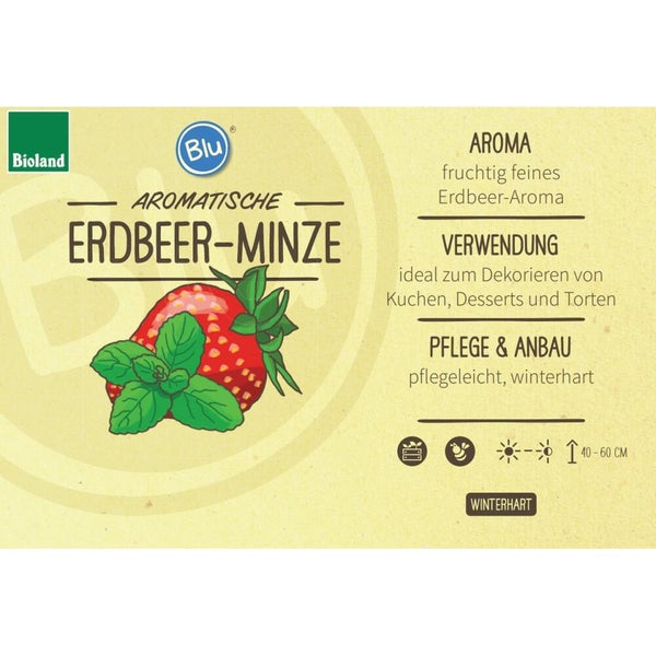 Bio Erdbeer-Minze von Blu. Bioland Logo, Blu Logo. Fruchtiges Aroma, winterhart, pflegeleicht, Wuchshöhe 40 bis 60 Zentimeter.