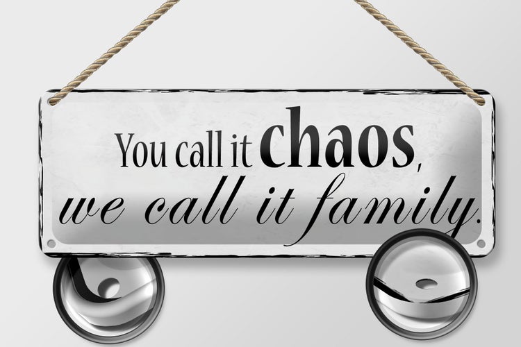 Blechschild Spruch 27x10cm you call it chaos we it family Dekoration