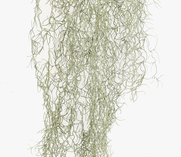 Künstliche Blütenknospe aus Textil mit grünem Stiel für florale Dekorationen.