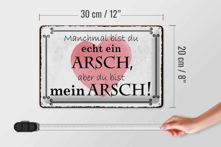 Blechschild Spruch 30x20cm manchmal bist du ein ARSCH aber
