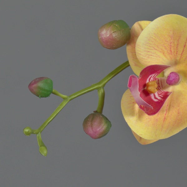 Künstliche Orchidee Phalaenopsis mit gelben Blüten und Knospen am grünen Stiel.