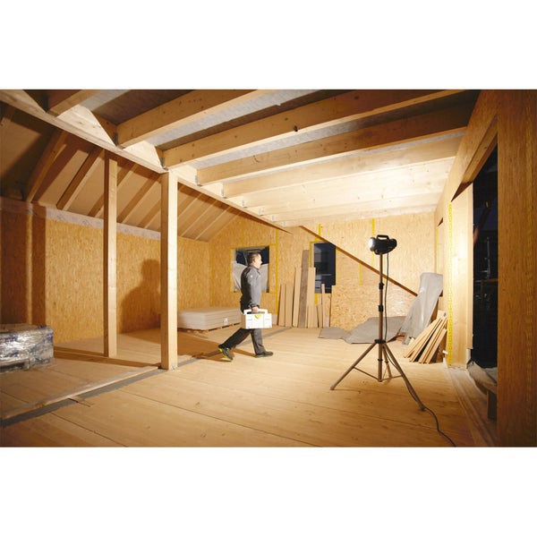 Ginsterstrauch mit gelben Blüten im Garten.