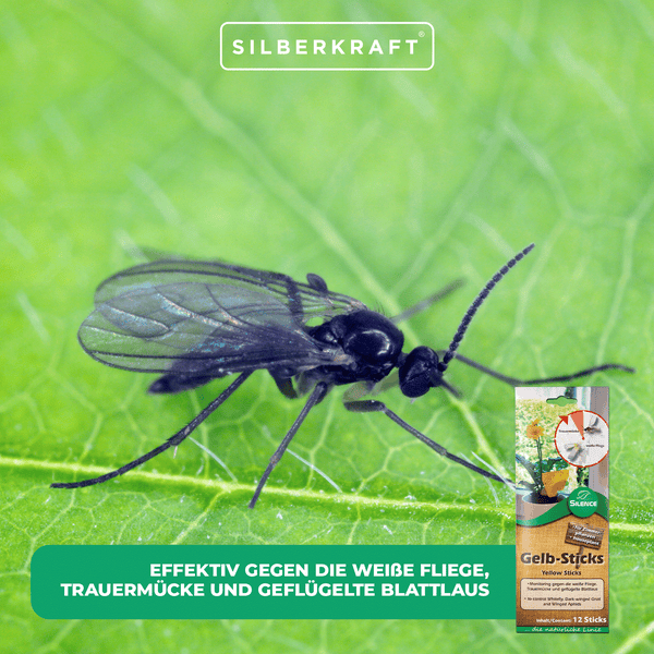 Gelb-Sticks – Effektive Klebefalle für Zimmer- & Wintergartenpflanzen