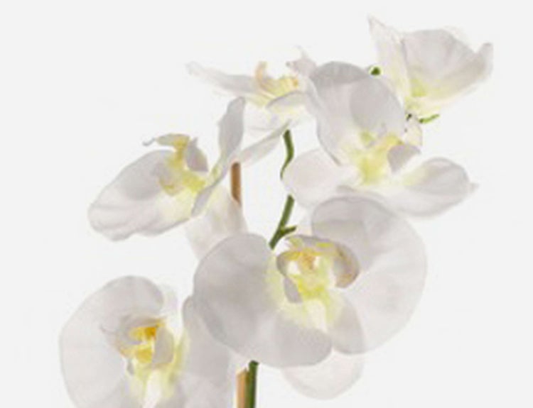 Künstliche Orchidee in weißem Topf mit dunkelgrünen Blättern und braunem Stiel.