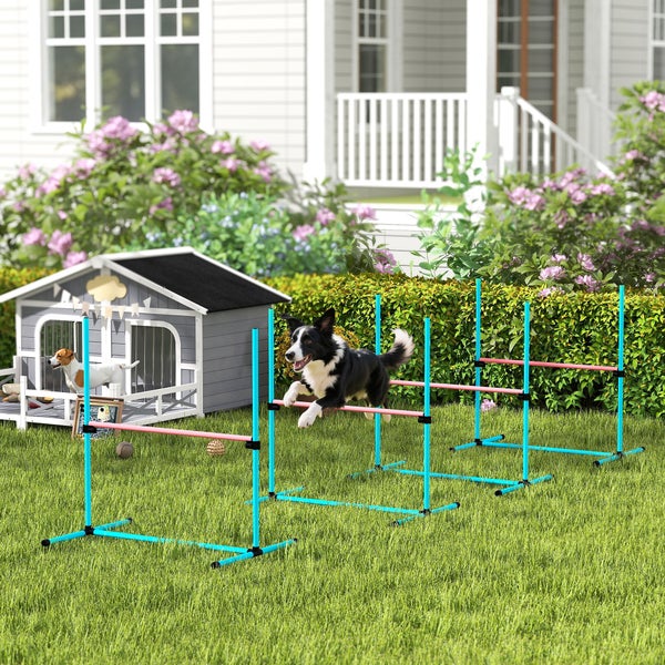 Hunde-Agility-Set mit Hürden auf einer Rasenfläche. Ein Border Collie springt über eine Stange. Im Hintergrund eine Hundehütte in einem Garten.