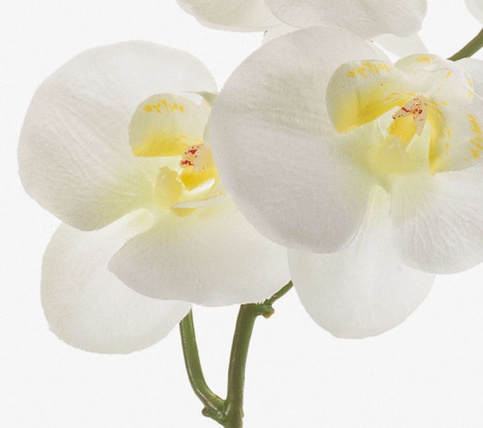 Künstliche Orchidee mit grünen Blättern, Luftwurzeln und einem Stiel in einem Topf mit Moos.
