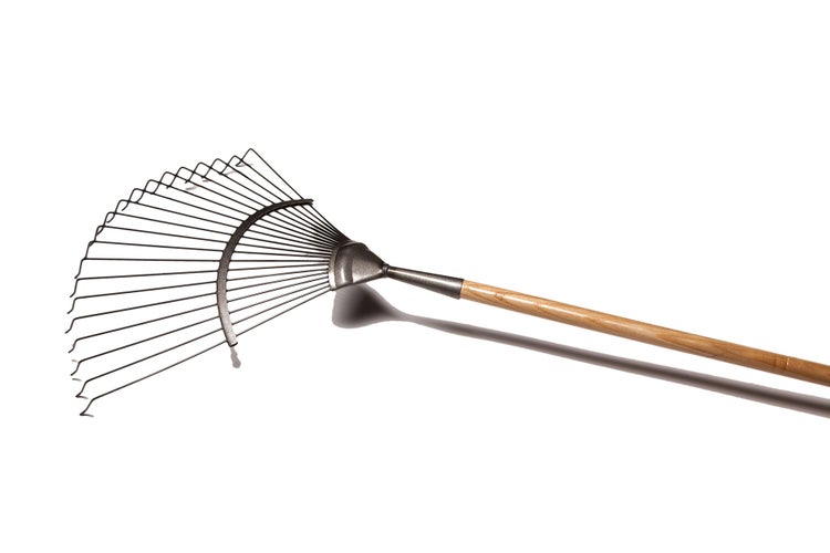 Krumpholz Rasenrechen 20 Zinken mit langem Eschenstiel (150 cm)