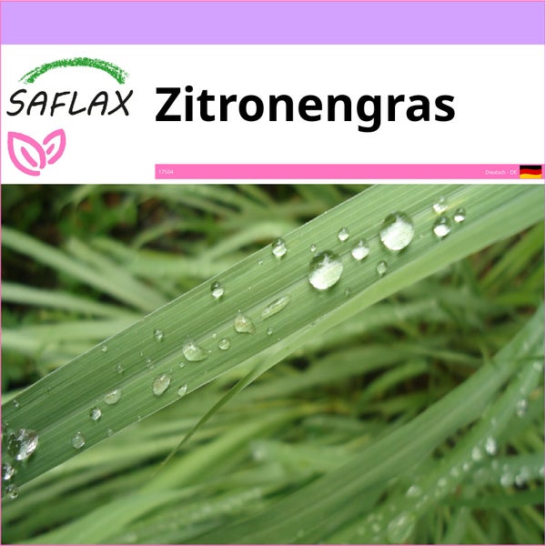 SAFLAX  - Zitronengras - Cymbopogon flexosus - 50 Samen