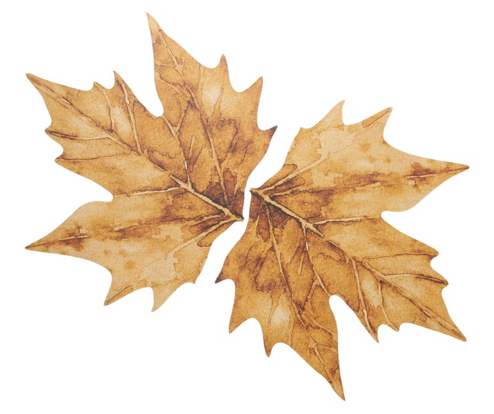 Zwei herbstliche Ahornblätter als dekorative Wandsticker im Aquarell Stil