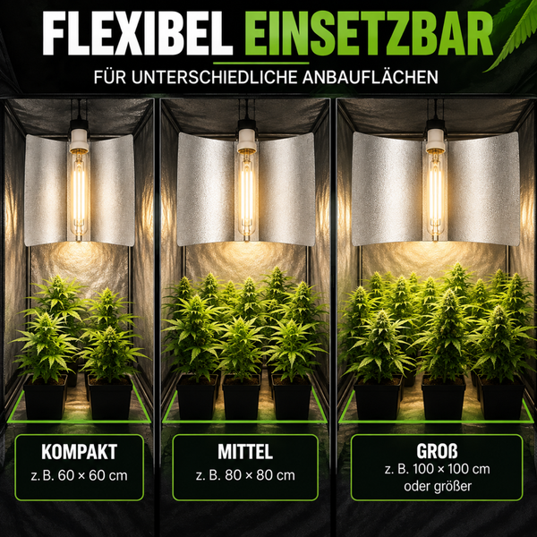 Drei bepflanzte Growboxen mit Pflanzenlampen als Beispiel für flexible Einsatzmöglichkeiten bei verschiedenen Anbauflächen von klein bis groß.