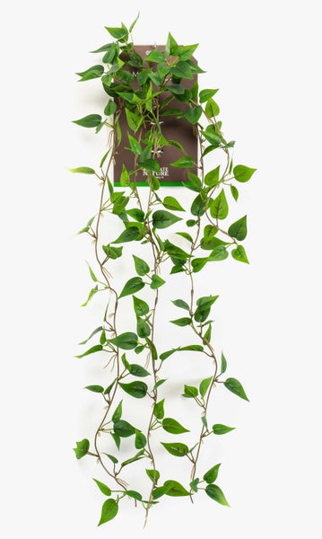 Künstliche Efeupflanze mit grünen, spitz zulaufenden Blättern.