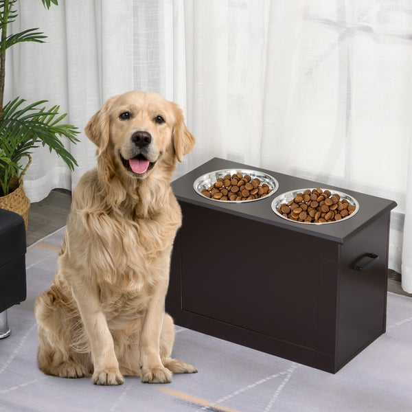 Golden Retriever sitzt auf einem Teppich neben einer erhöhten Hundebar aus dunklem Holz mit zwei Edelstahlnäpfen in einem hellen Raum.