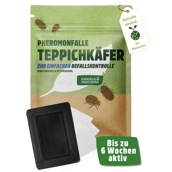 Teppichkäfer Pheromonfalle