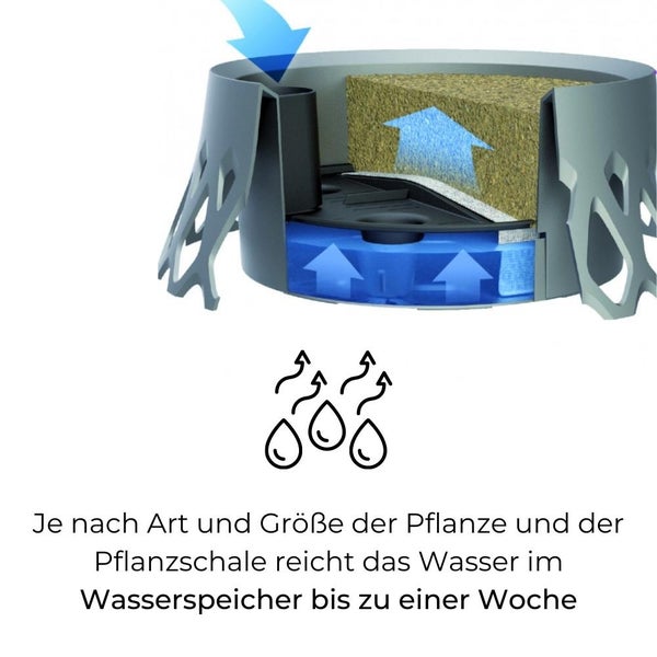 Grabschale mit Selbstbewässerung und Wasserüberlauf Friedhof Grab Vase anthrazit Ø 40