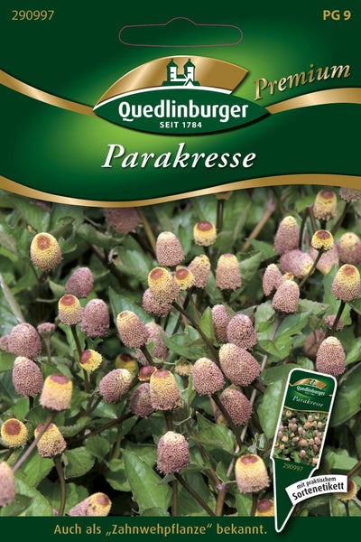 Quedlinburger Samenpackung Parakresse in Premium-Qualität, auch Zahnwehpflanze genannt, mit Abbildung der Pflanze und Quedlinburger Logo.