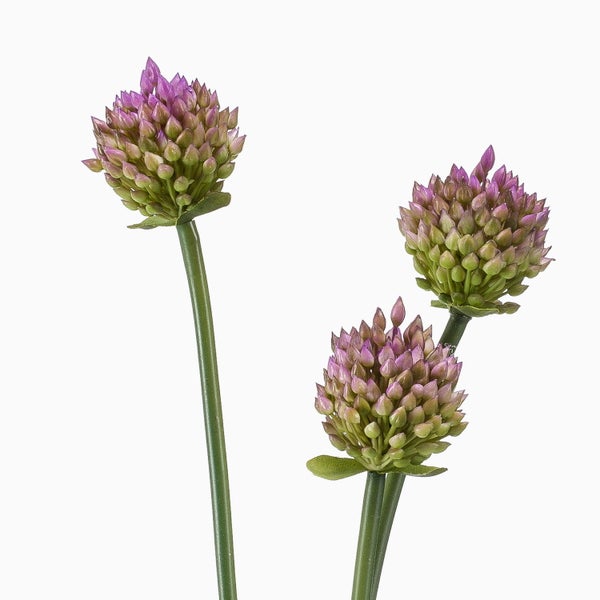 Künstlicher Allium-Stiel mit drei Blütenknospen in Grün und Violett.