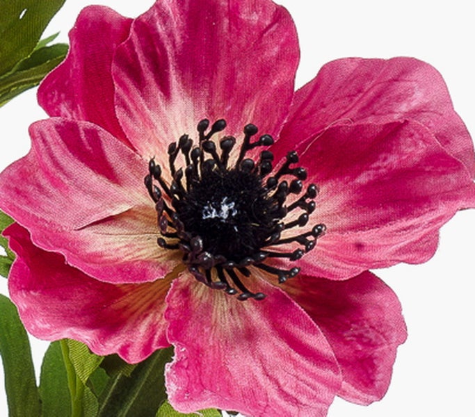 Künstliche Anemone mit pinkfarbenen Blütenblättern und schwarzer Mitte.