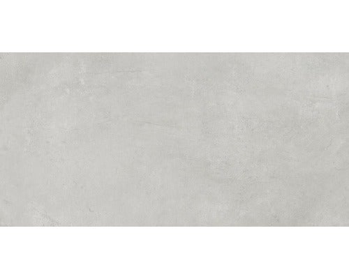 Feinsteinzeug Wand- und Bodenfliese Gare du Nord light grey 60x120 cm