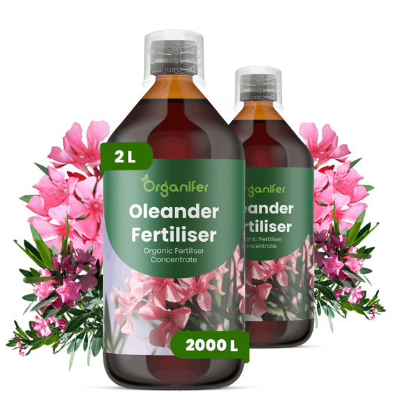 Organifer Oleander Dünger Konzentrat, 2 Liter Flasche für 2000 Liter Düngerlösung, mit Oleanderblüten.
