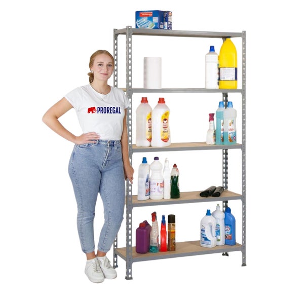 PROREGAL Schwerlastregal Muli HxBxT 180 x 80 x 40 cm 5 Fachböden Fachlast 150 kg Verzinkt