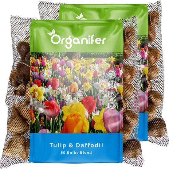 Zwei Packungen Organifer Tulpen- und Narzissenzwiebeln, Mischung aus 50 Zwiebeln in Netzbeuteln