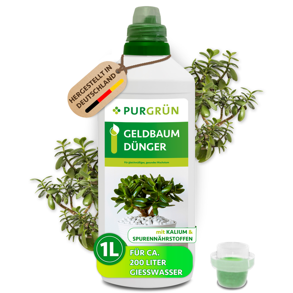 Purgrün Geldbaum-Dünger, 1 Liter Flasche, mit Kalium und Spurennährstoffen, für circa 200 Liter Gießwasser, hergestellt in Deutschland.