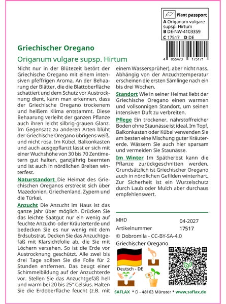 SAFLAX Garden to go - Griechischer Oregano - Origanum vulgare supsp. Hirtum - 600 Samen - Mit Topf, Klima - Deckel und Anzuchtsubstrat
