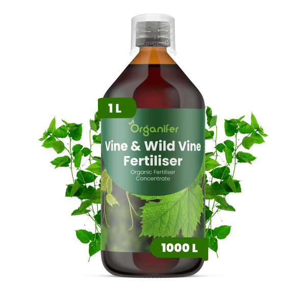 Organifer Wein- und Wildwein-Dünger, 1 Liter Konzentrat für 1000 Liter Gießwasser, organischer Flüssigdünger für Weinreben.
