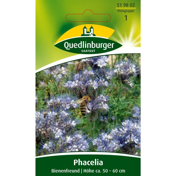 Phacelia Bienenfreund Samen von Quedlinburger SAATGUT