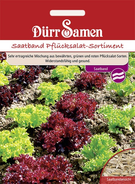 Samenpackung für kleinblättriges Basilikum Piccolino von Dürr Samen mit Detailansicht der Samen.