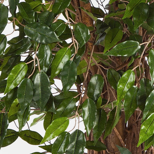 Künstliche Hängepflanze mit herzförmigen, grün-silbern gemusterten Blättern.